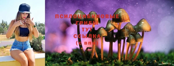 прущие крисы Абдулино